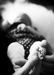 bebis_3
