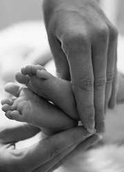 bebis_4