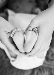 bebis_6