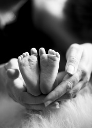 bebis_7