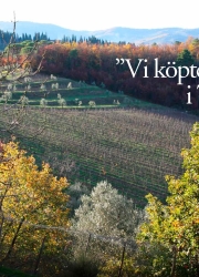 vingard_page_1