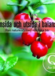 lingon_klar_page_1
